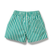 Wilson & Frenchy Board Short - Green Bean Stripe