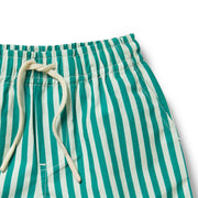 Wilson & Frenchy Board Short - Green Bean Stripe