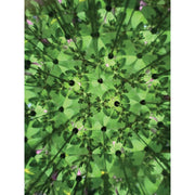 Great Outdoors Make Your Own Kaleidoscope