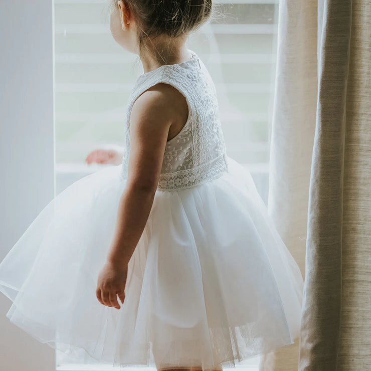 Bebe Embroidered Organza Dress