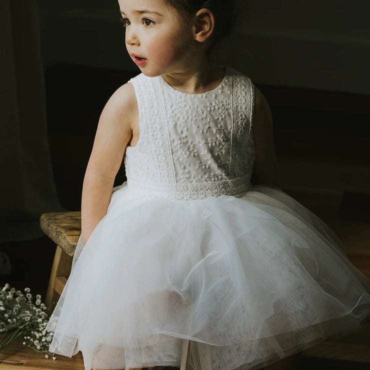 Bebe Embroidered Organza Dress