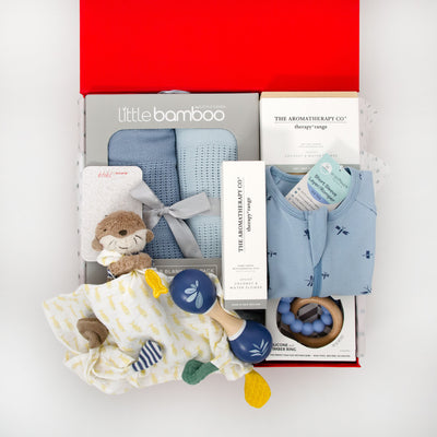 Whisper Mummy & Me Hamper - Blueberry
