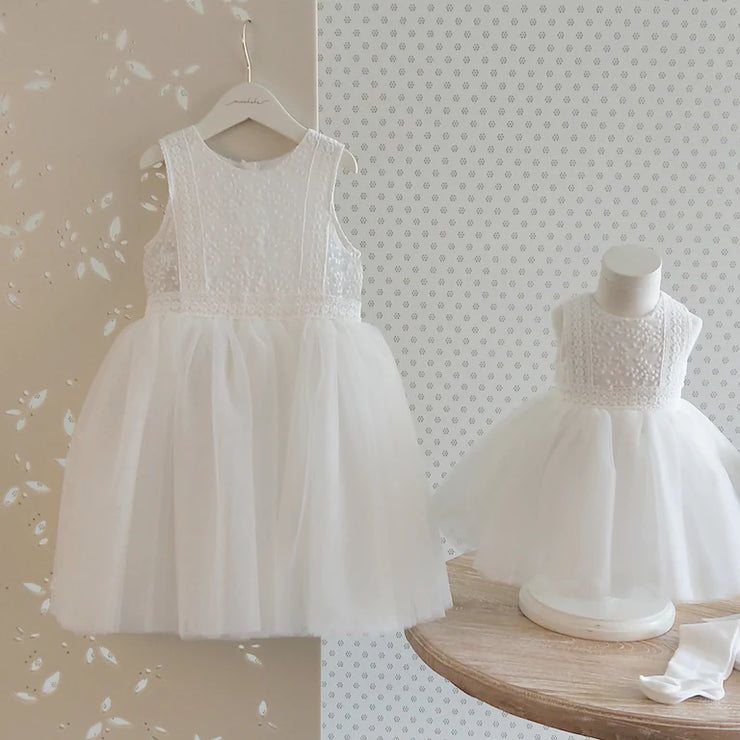 Bebe Embroidered Organza Dress