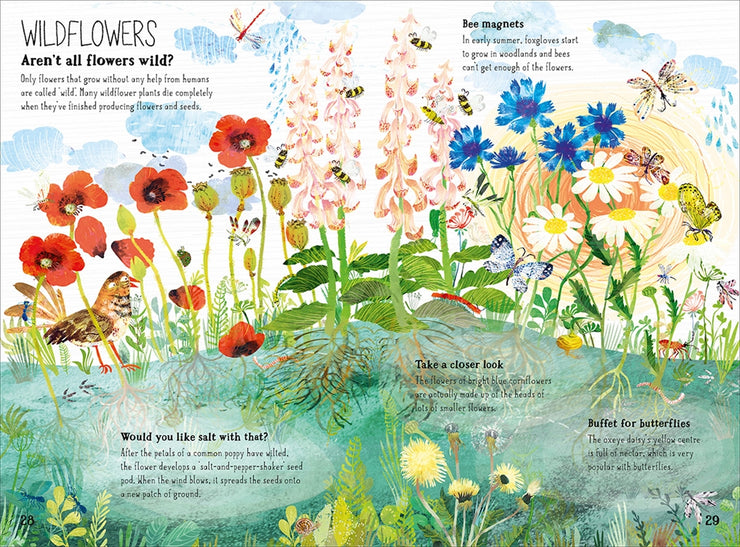 The Big Book of the Blooms by Yuval Zommer