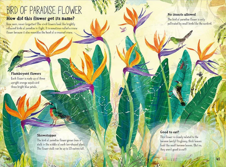 The Big Book of the Blooms by Yuval Zommer