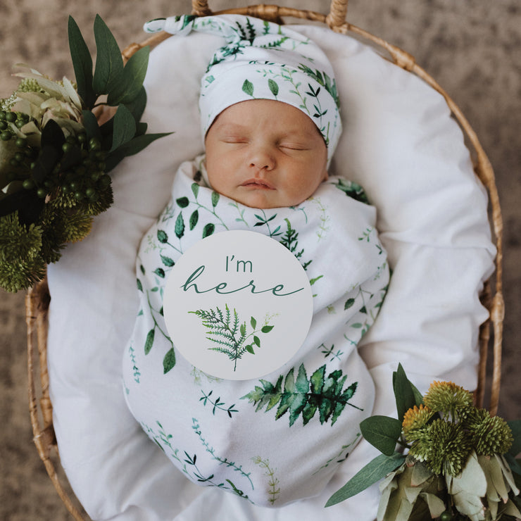 Snuggle Hunny Milestone Cards - Enchanted & Olive